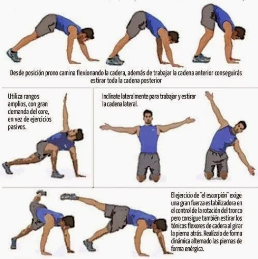 Ejercicios fáciles para mejorar la movilidad articular | Blog | Vidaliax