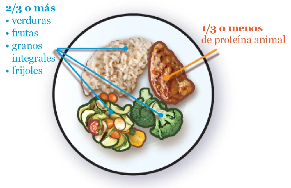 Plantas que pueden ayudar a cuidar la salud prostática | Blog | Vidaliax