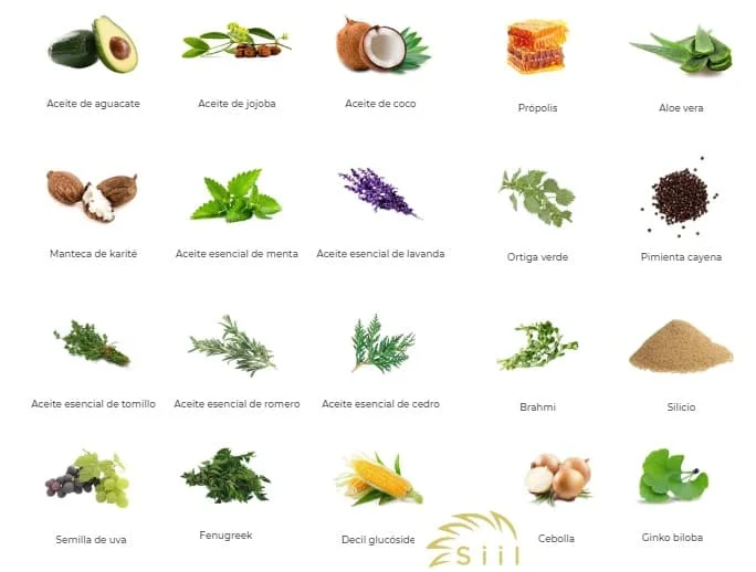 Plantas que pueden ayudar a evitar la caída del cabello | Blog | Vidaliax