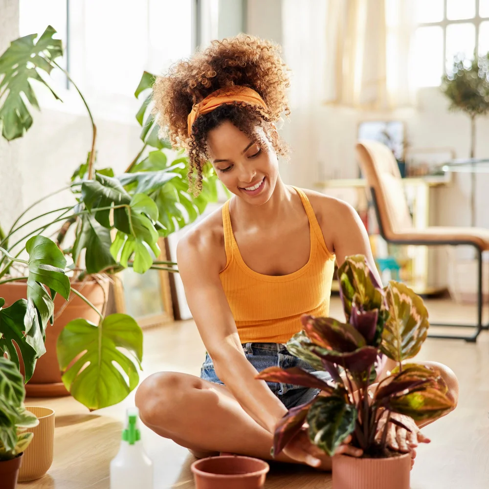Plantas que pueden ayudar a practicar mindfulness | Blog | Vidaliax