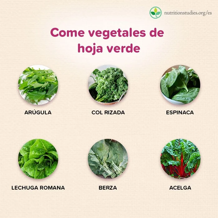 Plantas que pueden ayudar a reforzar el sistema inmunológico | Blog ...