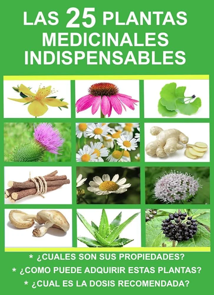 Plantas que pueden ayudar a regular la presión arterial | Blog | Vidaliax