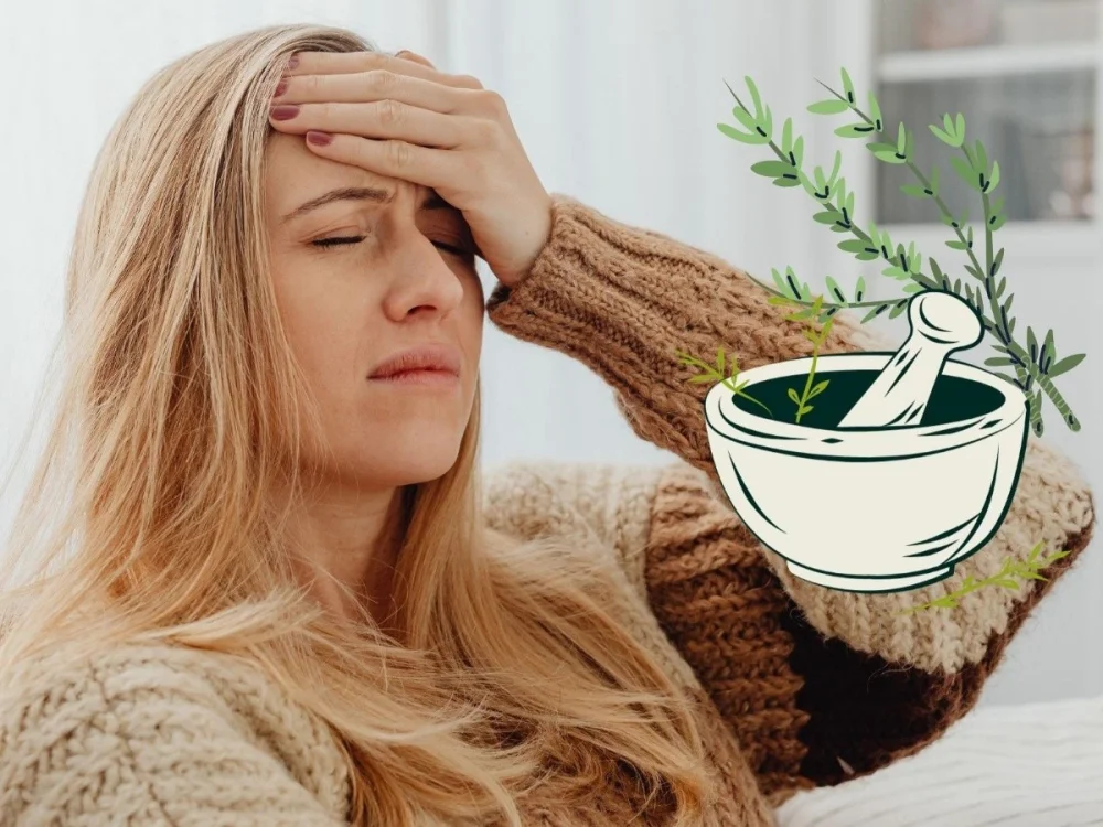 Plantas que pueden ayudar a relajar el cuello y los hombros | Blog ...