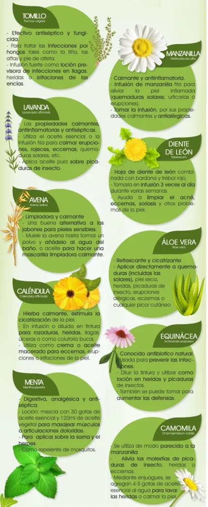 Plantas que pueden ayudar a mantener la piel hidratada | Blog | Vidaliax