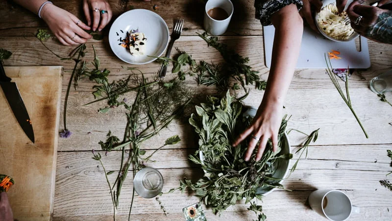 Plantas que pueden ayudar a relajar los músculos | Blog | Vidaliax