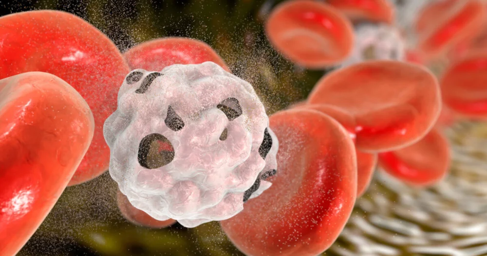 Anemia perniciosa: definición, síntomas, causas y tratamiento | Guía de ...