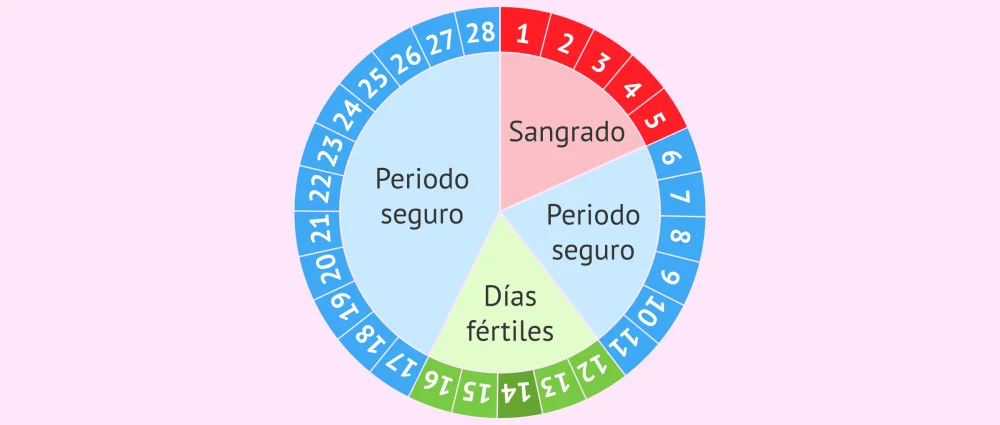 Método del ritmo: anticoncepción, calendario y eficacia | Guía de salud ...